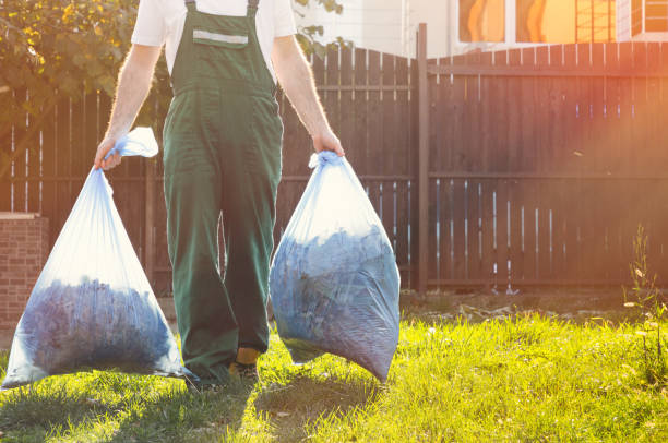 Best Basement Cleanout  in St Joseph, MN